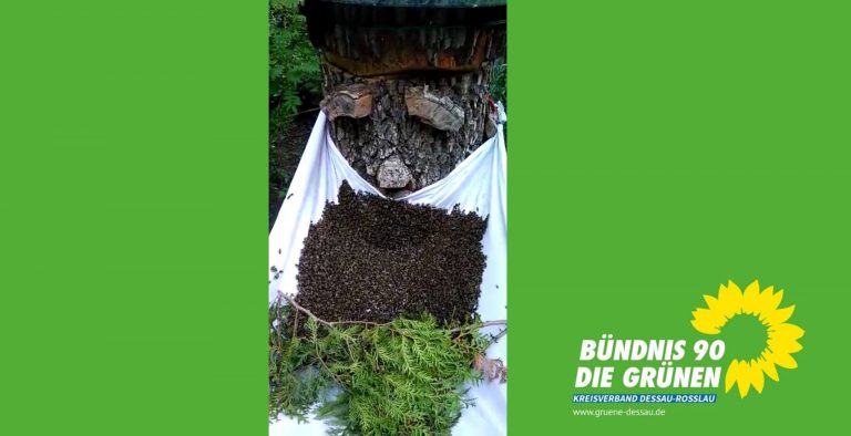 Radtour zum Bienenhausbauer und Imker in Dessau-Ziebigk