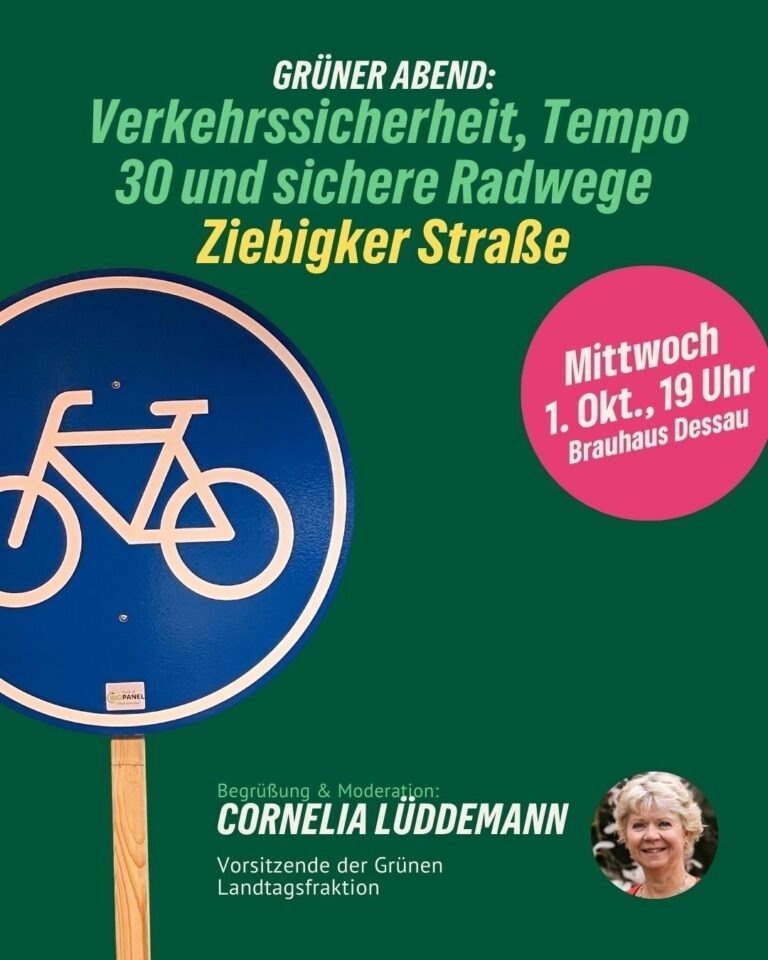 GRÜNER ABEND: Verkehrssicherheit, Tempo 30 und sichere Radwege